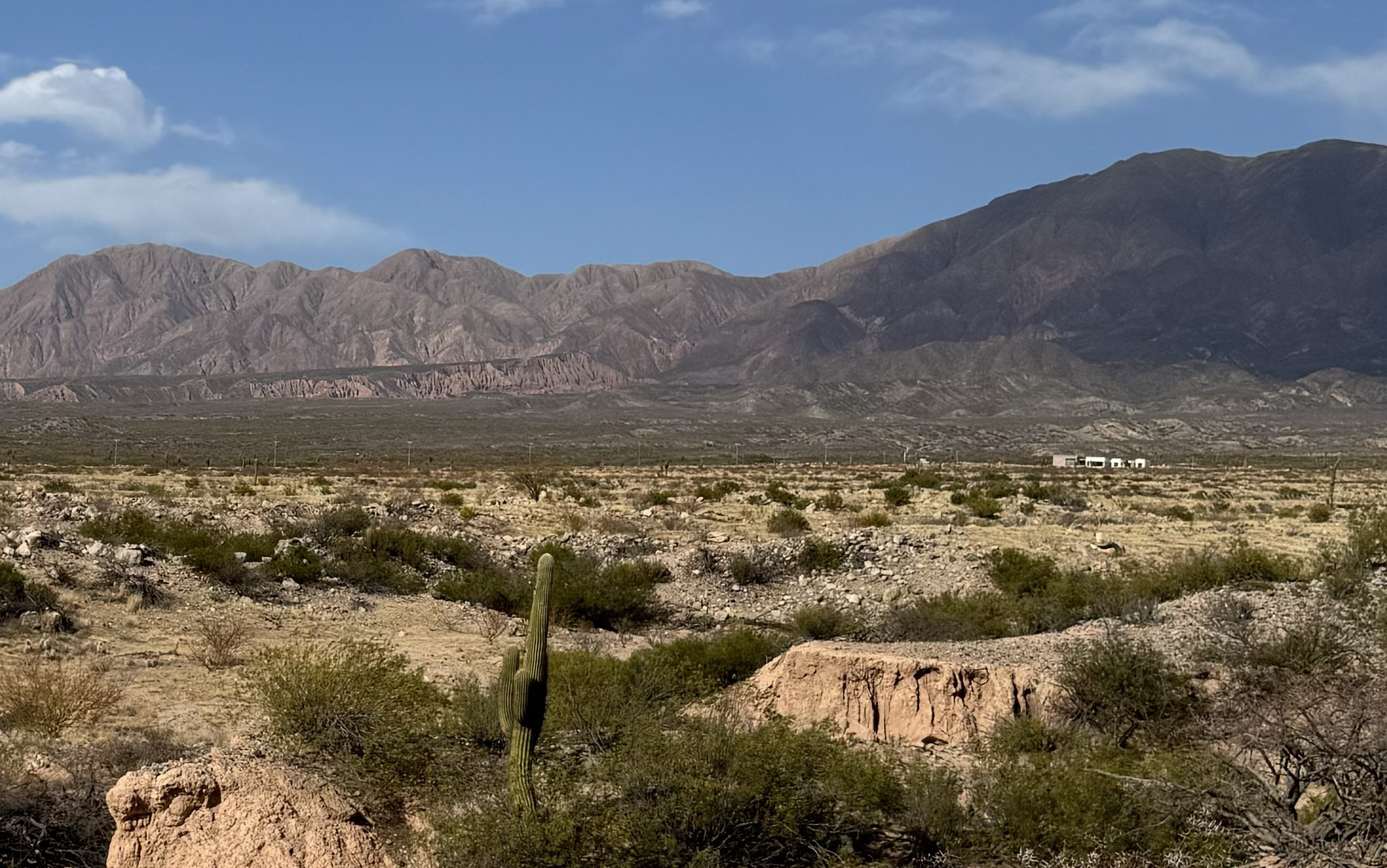 Historia de la marca